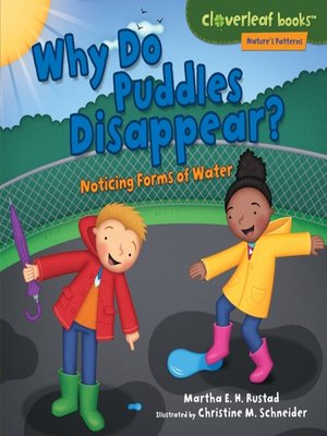 cover image of Why Do Puddles Disappear?